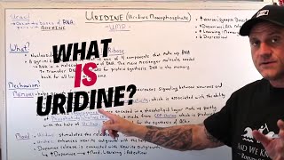 What Is Uridine and The Benefits [upl. by Lauhsoj765]