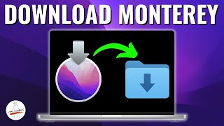 How to Download macOS Monterey  4 Different Ways [upl. by Asseram657]