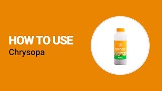 How to use Chrysopa from Koppert [upl. by Ahsinuq]