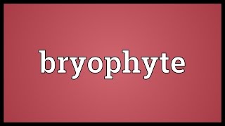 Bryophyte Meaning [upl. by Eladnwahs]