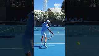 Forehand Compilation  Novak Djokovic Slow Motion Back View 1 Shorts [upl. by Vigen242]