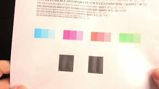 Cleaning the Printhead of HP OfficeJet Pro 6960  Maintain Print Quality [upl. by Jocelyn]