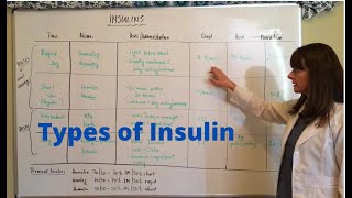 Types of Insulin [upl. by Ruskin]