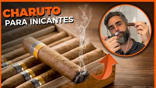 Charutos para iniciantes  Guia Básico  como acender cortar guardar e harmonizar  Feat CIGAR 019 [upl. by Odele]