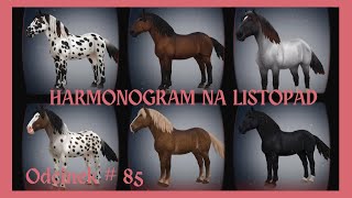 HARMONOGRAM NA LISTOPAD  NORIKERY  NOWE KONIE  odc85 sso starstableonline starstable [upl. by Hauck]