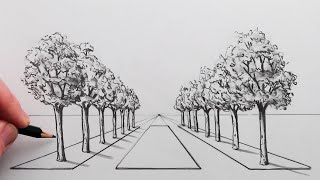 How to Draw a Road of Trees using 1Point Perspective Step by Step [upl. by Neelra713]