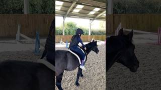 Tackless jumping my pony 🫶🏻🐴 naturalhorsemanship equestrian horse ethical love cute [upl. by Prosperus]