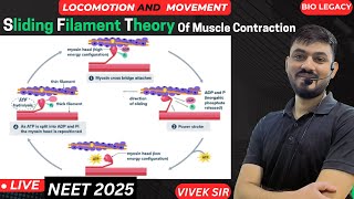 Sliding Filament Theory Of Muscle Contraction  Locomotion amp Movement Class 11th  by  Vivek Sir [upl. by Tak]