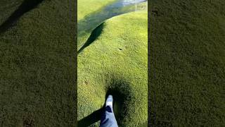 Walking on Spongy Grass Waterlogged Ground Reaction [upl. by Ioj]