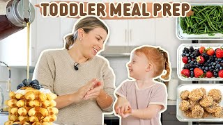 TODDLER MEAL PREP  Picky Eater Kids Meal Ideas They Will LOVE [upl. by Santa]