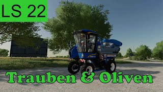 Tauben und Oliven ernten  Tutorial  Landwirtschafts Simulator 22  Gamefactory [upl. by Chansoo]