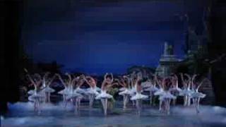 La morte del Cigno American Ballet [upl. by Elbon]