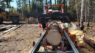 Norwood HD36 Milling 12”x6” Foundation Beams OffGrid Cabin Build Northern Ontario Canada [upl. by Nitaj]