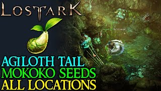 LOST ARK AQUILOS TAIL ALL MOKOKO SEED LOCATIONS [upl. by Elletnohs]