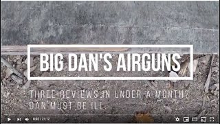 Artemis M30 Review Big Dans Airguns [upl. by Goodwin]