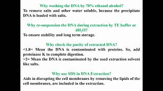 Questions Concerning DNA Extraction [upl. by Beard721]