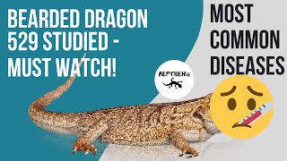 Bearded Dragon Most Common Diseases Among 529 Beardies  Must Watch [upl. by Llemart639]