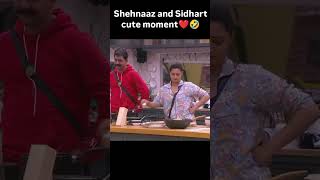 sidnaaz sidharthshukla sehnaazgill biggboss13 viralvideo shorts public [upl. by Mathilde]