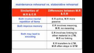 Maintenance Rehearsal vs Elaborative Rehearsal  VCE Psych [upl. by Adnuahsor754]