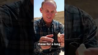 Top Archaeological Discoveries Proving the Bible’s History shorts youtubeshorts god [upl. by Lindsley]