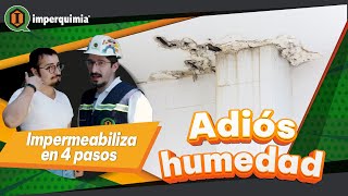 Soluciones contra humedad Imperquimia lo Resuelve 💦👷‍♀ Elaston impermeabilizante construcción [upl. by Assital]