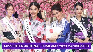 Miss International Thailand 2023 candidates during the ThaiJapan Festival [upl. by Calendra]