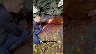 NExplorez Jamais Des Grottes Comme CelleCi 😲 [upl. by Dorkus377]