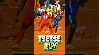 TSTSTSTsetse Fly  Aviator kasifootball youtubechamps [upl. by Kallista]