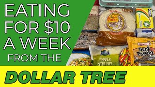 How to Eat for 10 a Week  Dollar Tree Budget Meal Plan  Emergency Grocery Haul [upl. by Salvador747]