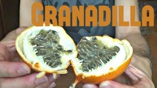 Granadilla Review  Weird Fruit Explorer Ep 34 [upl. by Bron]