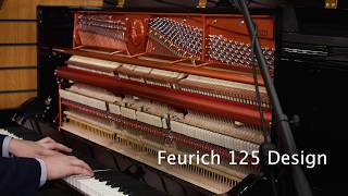 Feurich amp Steinhoven Upright Piano Comparison at Sherwood Phoenix [upl. by Albers]