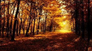 Strahlender HerbstSonnenuntergang – Gimp 29 [upl. by Norrag]