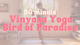 50 Minute Vinyasa Yoga  Bird of Paradise [upl. by Alleunam]