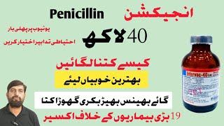 Injection Penicillin 40 Lac  Uses In Buffalo Cow Goat Horses [upl. by Tuhn247]