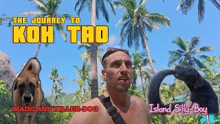 The Journey to Koh Tao  Paradise Scooters Street Dogs amp  depression 🇹🇭 [upl. by Norrehs]