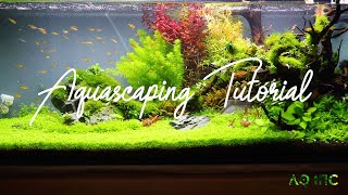 Step by Step Aquascaping Tutorial 200L [upl. by Eirok]