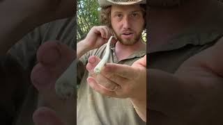 Skipping Arrow for Duck Hunting survival archery outdoors camping nature bushcraft primitive [upl. by Eetak]