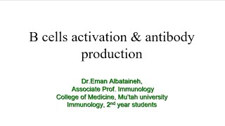 Immunology  B cell activation and antibody production [upl. by Ecerahs]