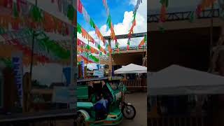 YOU ARE NOT A TREE MOVE beautiful happy fiesta happyfiesta shorts lorielcreyesdandan [upl. by Harve]