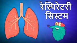 रेस्पिरेटरी सिस्टम  Respiratory System In Hindi  श्वसन तंत्र  DrBinocs Show  Binocs Ki Duniya [upl. by Fowle]