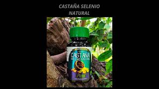 Castaña selenio natural 🌿 natural elitatv [upl. by Hayyifas619]