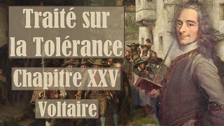 quotSuite et conclusionquot  Traité sur la Tolérance  Voltaire  Livre Audio [upl. by Alinoel524]