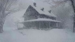 Lonely Mountain House During a Snowstorm  Snow storm sounds while sleeping  Howling wind [upl. by Polloch]