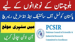 How to apply PCSIR jobs in Balochistan 2024  PCSIR scientific officer jobs in Quetta and Gawadar [upl. by Akitahs232]