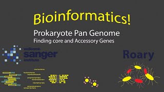 Bioinformatics  Prokaryote Pan Genome with Roary Timestamps [upl. by Heindrick]