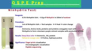 Ninhydrin Test  Biochemistry Practical  Biochemistry OSPE  Table amp Grand Viva Prep  Protein Tes [upl. by Nylyram]