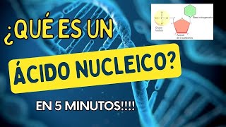 Diferencia entre ADN y ARN Componentes de un Nucleótido [upl. by Atiuqcaj465]