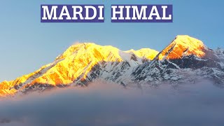 Mardi Himal Trek  Nepal – Best Short Trek in the Himalayas [upl. by Haimarej]