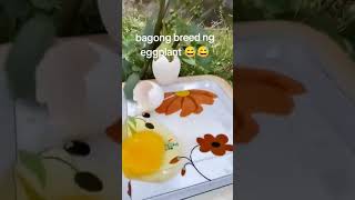 Bagong binhi ng talong🤣🤣🤣 funny goodvibesalways comedyfilms justforfun [upl. by Hulton]