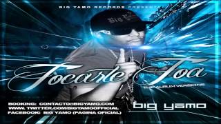 Big Yamo  Tocarte Toa Electronica [upl. by Aerdnak]